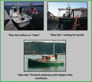 Blue Star Before and After